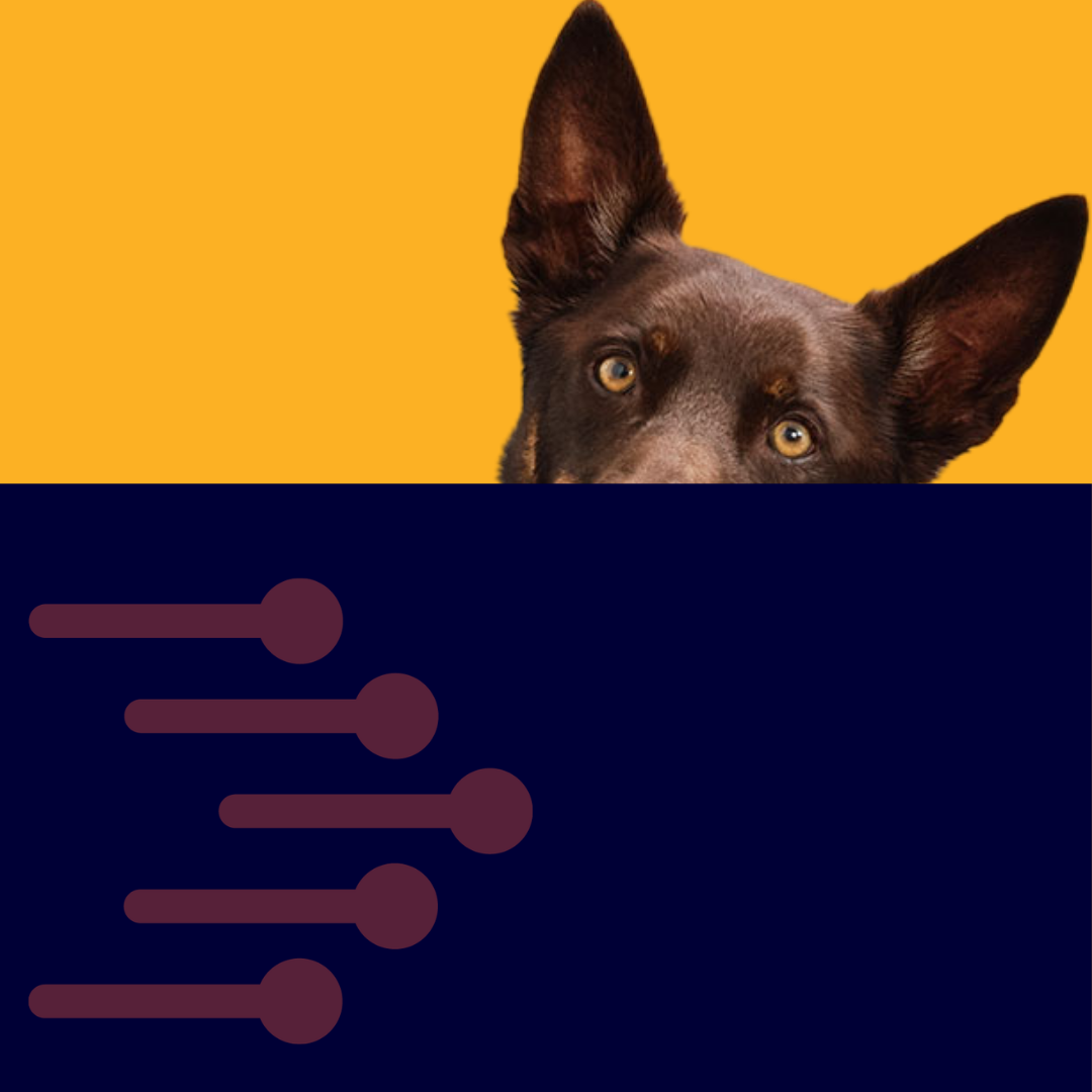 KC Image 3